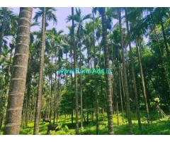 1.80 Agriculture land with house in kathalsaar, mangalore