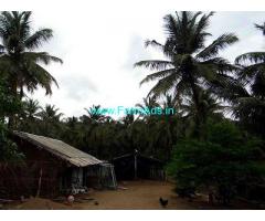 18 Acre Farm Land for Sale Near Thirumalayampalayam