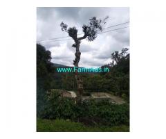50 Acre Coffee Land for Sale Near Somwarpet