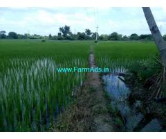 12 Acre Farm Land for Sale Near Karimnagar