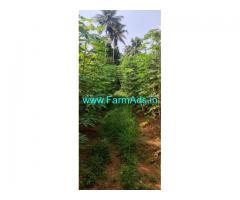 43 Cents Land for Sale at Panthaloor, Nellayi
