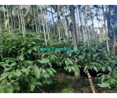 10 Acre Coffee Land for Sale Near Vaduvanchal