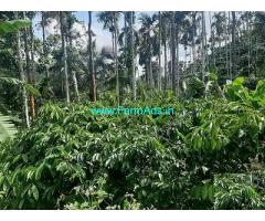 10 Acre Coffee Land for Sale Near Vaduvanchal