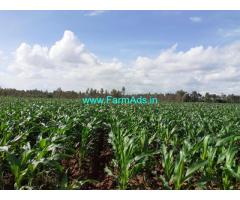 3.5 Acres Agriculture Land For Sale In Hanabe. Doddaballapur