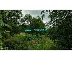 1 Acre Farm land for Sale Near Pali