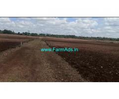 14.20 Acre Farm Land for Sale Near Koodlahalli