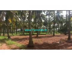 25 Acre Farm Land for Sale Near Muskal