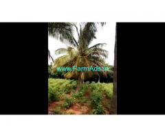 10 Acre Coconut Farm land for sale at Nanjangudu, Mysore.