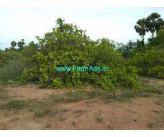 5 Acres Cashew Farm for sale in Thanjavur Marukulam vai Kurukulam