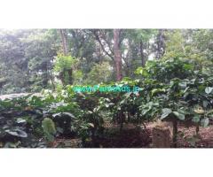 50 Acre Good Condition Coffee Estate For sale at Mudigere