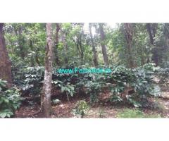 50 Acre Good Condition Coffee Estate For sale at Mudigere