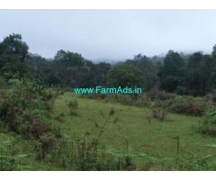 7 Acre Farm Land for Sale Near Mudigere