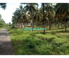 19 Acre Coconut Farm for sale near Annamalai