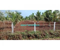 4 Acre Very Beautiful Cocounut Farm for Sale in Bogadi-Gaddige Route Mysore