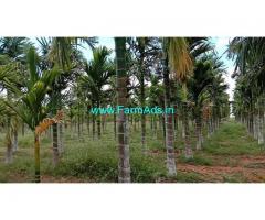 5 Acres arecanut plantation for sale near Hiriyur