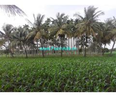 1.5 acre Adake garden for sale at Venkatapura, Koratagere Taluk