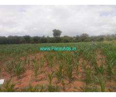 2.5 Acre Agriculture Farm Land for sale at Alapanahalli, Sasalu Hobli
