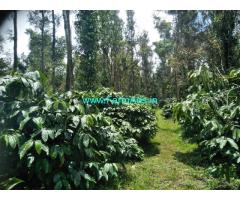50 acre robusta plantation sale in mudigere