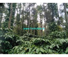 50 acre robusta plantation sale in mudigere