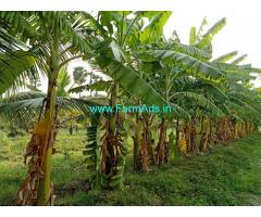 3.5 Acres of lush green agricultural land for sale at Utthangarai