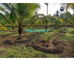 3.5 Acres of lush green agricultural land for sale at Utthangarai