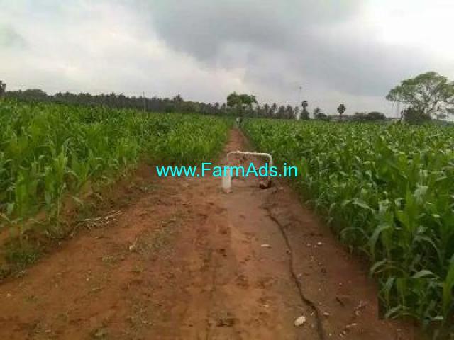 7.70 Acre Farm Land for Sale Near Dharapuram