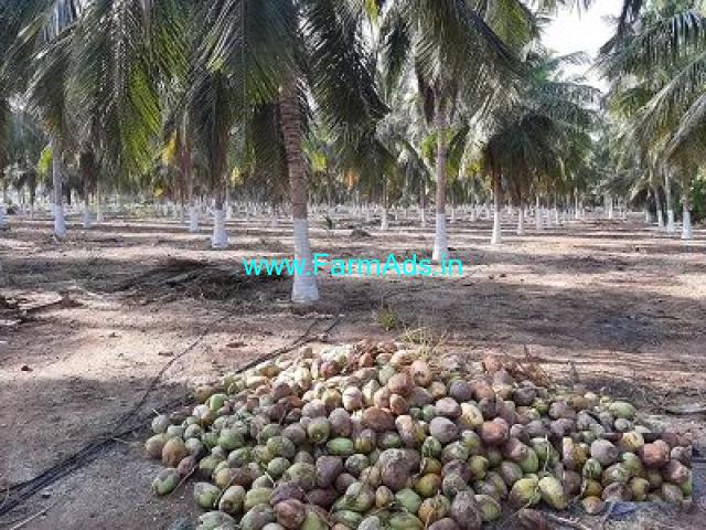25 Acre Farm Land for Sale Near Ponnapuram