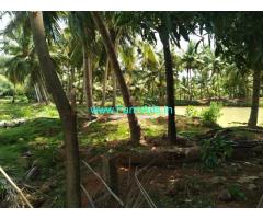 5 Acres Coconut Farm  Property in Thanjavur pattukottai bypass