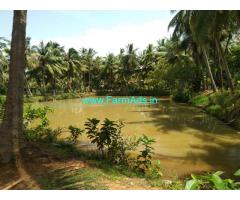 5 Acres Coconut Farm  Property in Thanjavur pattukottai bypass