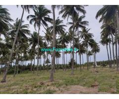 7 Acre Farm Land for Sale Near Kottamangalam