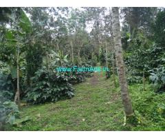 10 acre boundary 8.5acre record coffee plantation for Sale in Belur