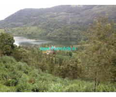 30 acre property and tea plantation for sale at wayanad