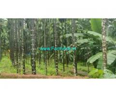 23 acre patta total 50 acre Areca Plantation for sale near Bantwala