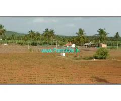 12 Acres Farm Land for sale at Ajjipura, Hanuru Taluk, Chamrajanagara.