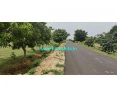 1.64 acres Punjai Farm land at Mathurai village near Uthiramerur for sale