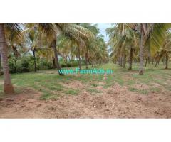 7 Acres Coconut plantation for sale at Shivapura VVS Dam Road, Hiriyur.