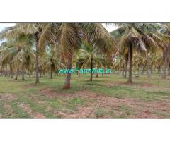 7 Acres Coconut plantation for sale at Shivapura VVS Dam Road, Hiriyur.