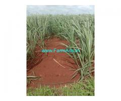 12 Acres Red soil agriculture land for sale near peddemul Vikarabad