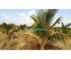 70 acres low budget agriculture farm land for sale at dindigul.