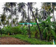 10 acres good income and investment farm land sale dindigul
