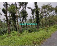5 Acre coffee and farm Land For sale in mudigere, Chikmagalore