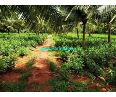 15.8 acre farm Garden for sale at Sundarapandiapuram near Tenkasi.