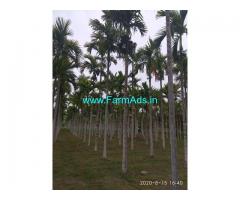 8.5 acre well maintained areca plantation for Sale in sira