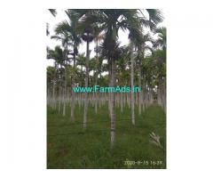 8.5 acre well maintained areca plantation for Sale in sira