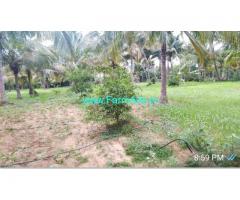 8 acres coconut farm land for sale near dindigul 20km