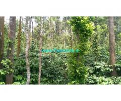 25 Acres Coffee Land for Sale at Virajpet