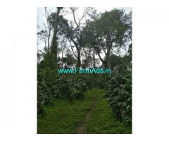 106 Acre Coffee Land for Sale Near Sakleshpur