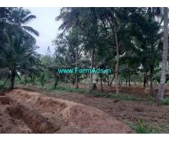 3 Acre Farm Land for Sale Near Mandya
