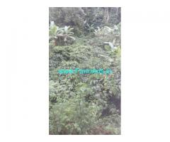7 Acres Maintained Coffee Estate for Sale in Kodagu