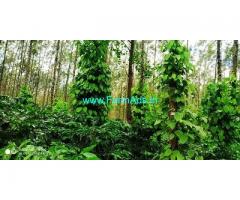 10 Acre Coffee Land for Sale Near Chikmagalur